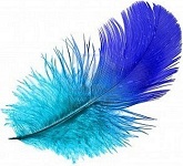 Melisande erz&auml;hlt M&auml;rchen und Lesungen f&uuml;r Kinder und Erwachsene